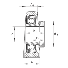 直立式軸承座單元 PASE25-N-FA125, 鑄鐵軸承座，帶偏心鎖圈的外球面球軸承，P 型密封，耐腐蝕保護(hù)