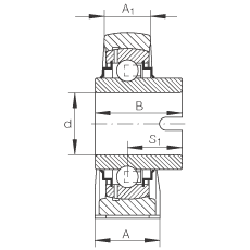 直立式軸承座單元 RASEL25-N, 鑄鐵軸承座，浮動軸承，內(nèi)圈有驅(qū)動槽，R 型密封